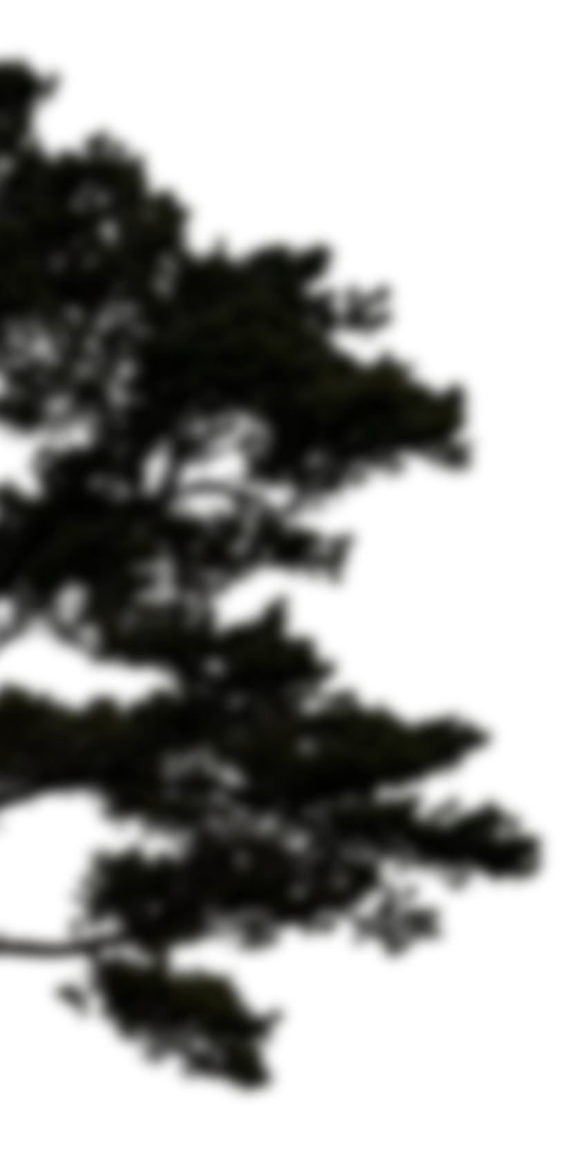 Left overlay